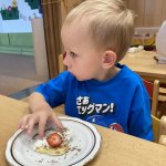 phoca_thumb_m_motlci vafle 20 Fotogalerie